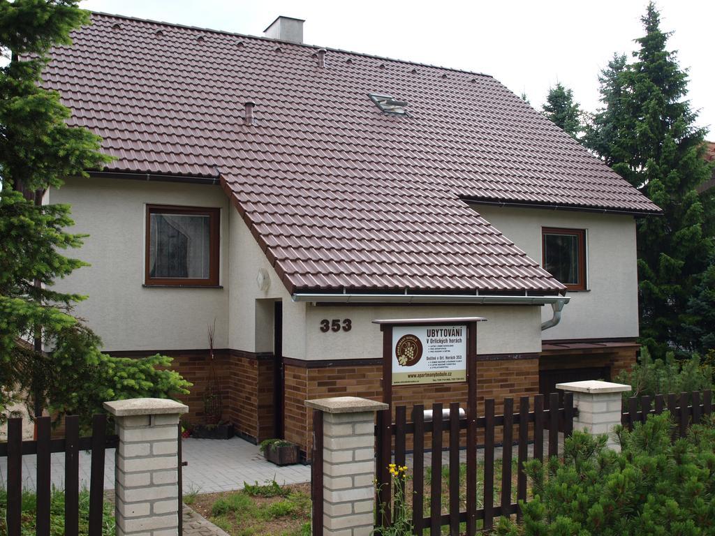 Apartmany Bobule Destne v Orlickych horach Exterior foto